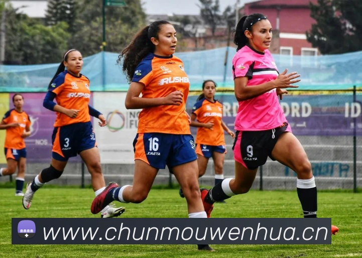 云开体育官方登录入口品牌故事