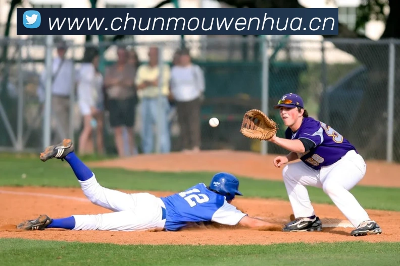 云开体育官方登录入口服务体系